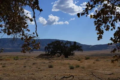 DSC_2294 (Large).JPG